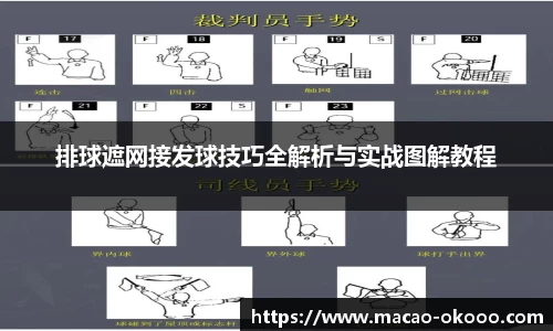 排球遮网接发球技巧全解析与实战图解教程